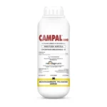 Campal 250 CE
