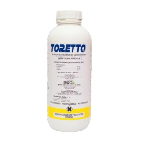 Toretto