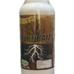 FortiRaiz