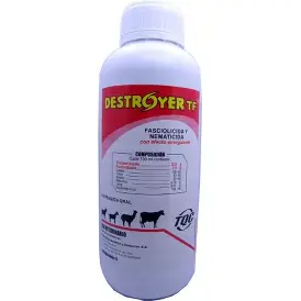 Destroyer TF x1L