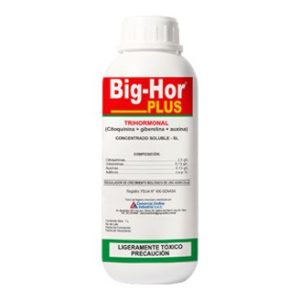 Big-Hor Plus x1L