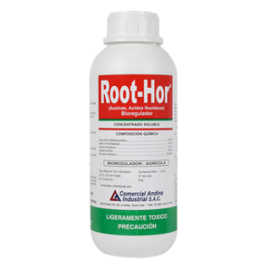 Root-Hor
