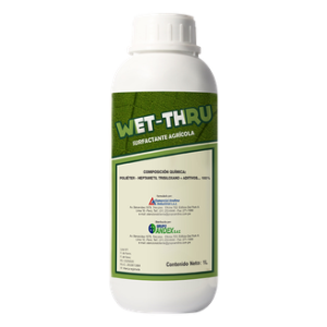 Wet Thru x 1L